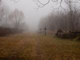 PC039313.jpg