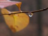 PC039324.jpg